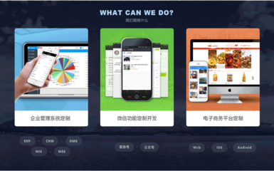管理系統(tǒng)開(kāi)發(fā)- 移動(dòng)辦公/OA/CRM/ERP定制 設(shè)計(jì)制作