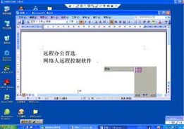 網(wǎng)絡(luò)人遠(yuǎn)程控制企業(yè)版 教程詳細(xì)圖解