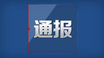 舒城 關于對4家招標代理機構的通報